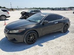 Honda Accord EXL Vehiculos salvage en venta: 2010 Honda Accord EXL