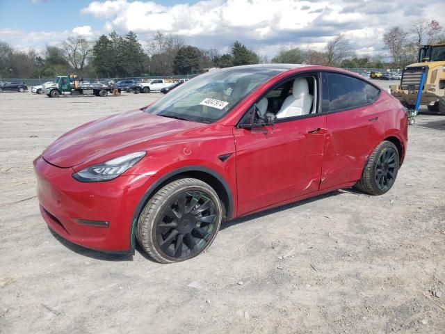 2021 Tesla Model Y