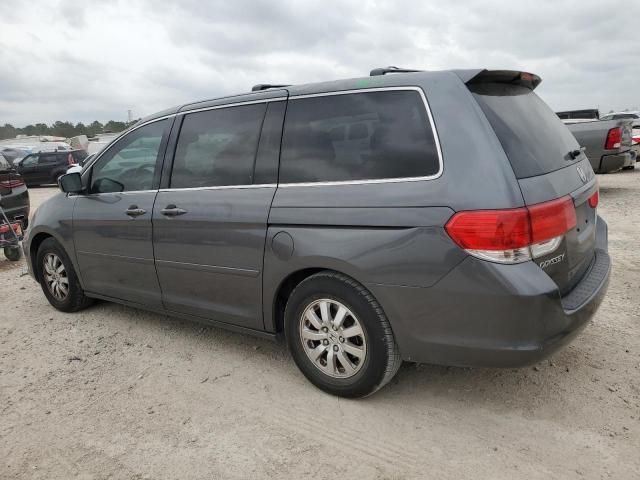 2010 Honda Odyssey EXL