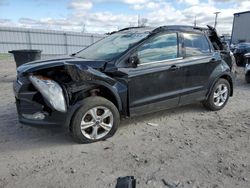 Salvage cars for sale from Copart Appleton, WI: 2013 Ford Escape SE