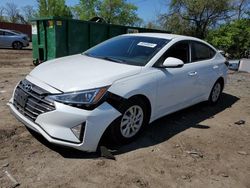 Salvage cars for sale at Baltimore, MD auction: 2019 Hyundai Elantra SE