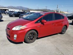 Toyota salvage cars for sale: 2010 Toyota Prius