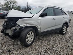 Salvage cars for sale from Copart Columbus, OH: 2011 KIA Sorento Base