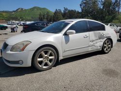 Salvage cars for sale at Van Nuys, CA auction: 2005 Nissan Maxima SE