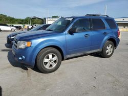 Salvage cars for sale at Lebanon, TN auction: 2010 Ford Escape XLT