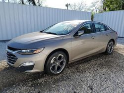 Salvage cars for sale at Baltimore, MD auction: 2023 Chevrolet Malibu LT