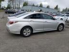 2013 Hyundai Sonata Hybrid