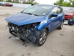 Salvage cars for sale at Bridgeton, MO auction: 2017 Ford Escape SE