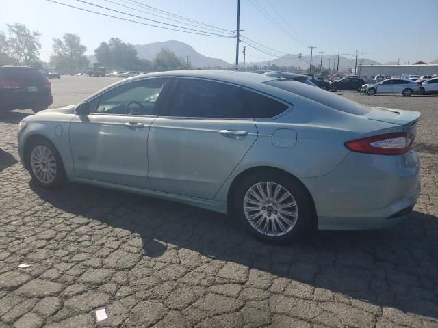 2013 Ford Fusion Titanium Phev