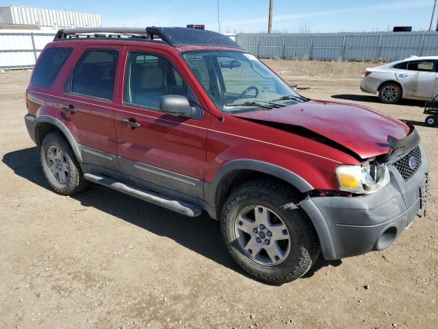 2005 Ford Escape XLT