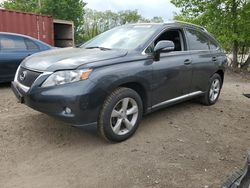 Salvage cars for sale at Baltimore, MD auction: 2010 Lexus RX 350