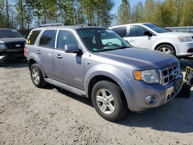 2008 Ford Escape HEV