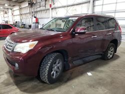 Salvage cars for sale from Copart Woodburn, OR: 2010 Lexus GX 460