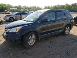 Honda salvage cars for sale: 2010 Honda CR-V EXL