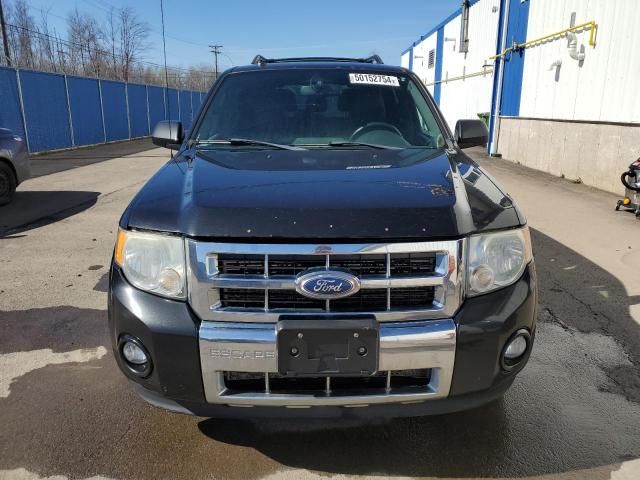 2011 Ford Escape Limited