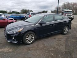 Salvage cars for sale from Copart East Granby, CT: 2019 Hyundai Sonata SE