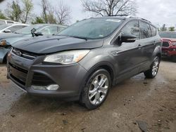 Salvage cars for sale at Bridgeton, MO auction: 2016 Ford Escape Titanium