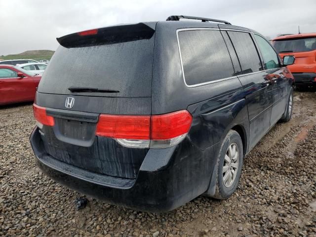 2009 Honda Odyssey EXL