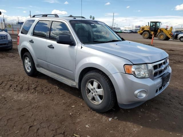 2011 Ford Escape XLT