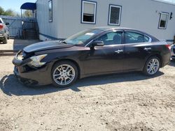 Salvage cars for sale at Lyman, ME auction: 2011 Nissan Maxima S