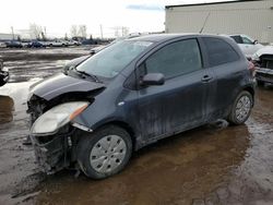 Salvage cars for sale at Rocky View County, AB auction: 2010 Toyota Yaris