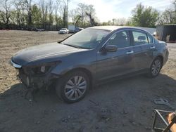 Salvage cars for sale from Copart Baltimore, MD: 2011 Honda Accord EXL