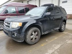 Salvage cars for sale at Louisville, KY auction: 2010 Ford Escape XLT