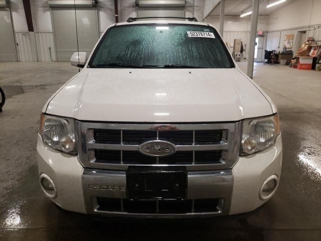 2009 Ford Escape Limited