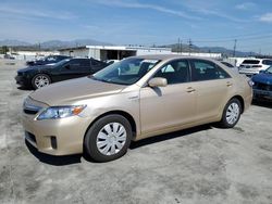 Salvage cars for sale at Sun Valley, CA auction: 2011 Toyota Camry Hybrid