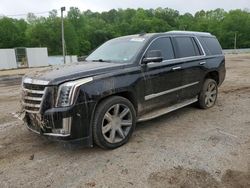 Salvage cars for sale at Grenada, MS auction: 2016 Cadillac Escalade Luxury