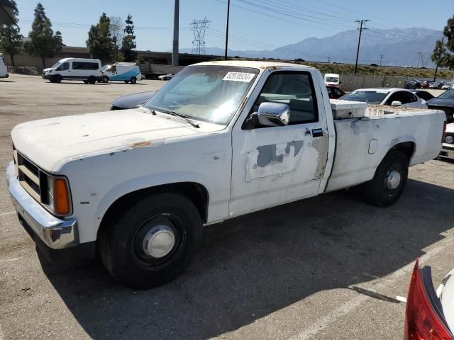 1988 Dodge Dakota