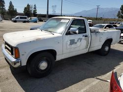 Salvage cars for sale from Copart Rancho Cucamonga, CA: 1988 Dodge Dakota