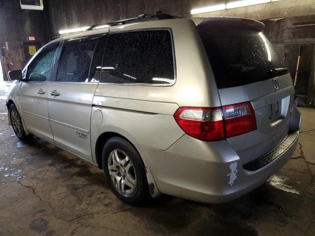 2005 Honda Odyssey EXL