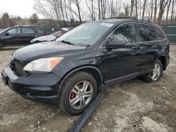 Salvage cars for sale from Copart Candia, NH: 2011 Honda CR-V EXL