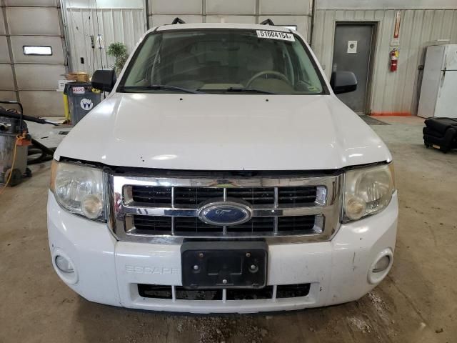 2008 Ford Escape XLT