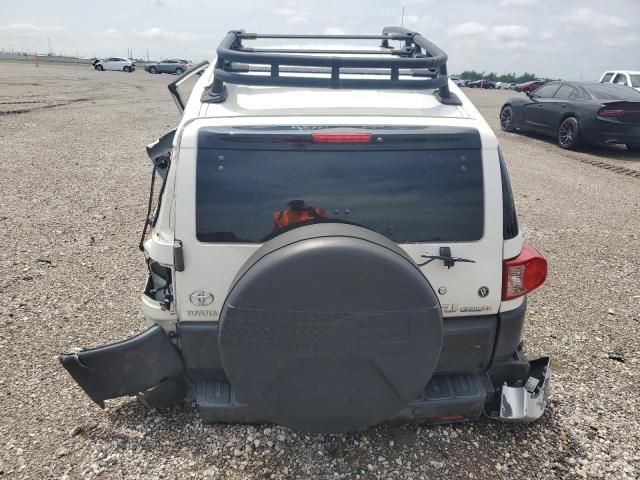 2010 Toyota FJ Cruiser