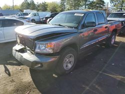 Salvage trucks for sale at Denver, CO auction: 2008 Dodge Dakota Quad Laramie