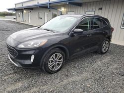 Vehiculos salvage en venta de Copart Gastonia, NC: 2021 Ford Escape SEL