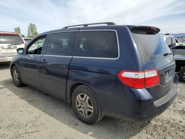 2005 Honda Odyssey EXL