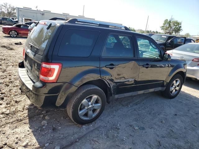 2010 Ford Escape Limited