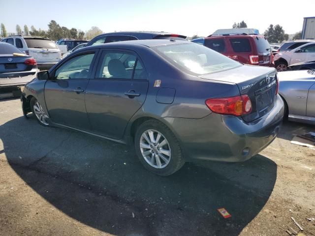 2010 Toyota Corolla Base