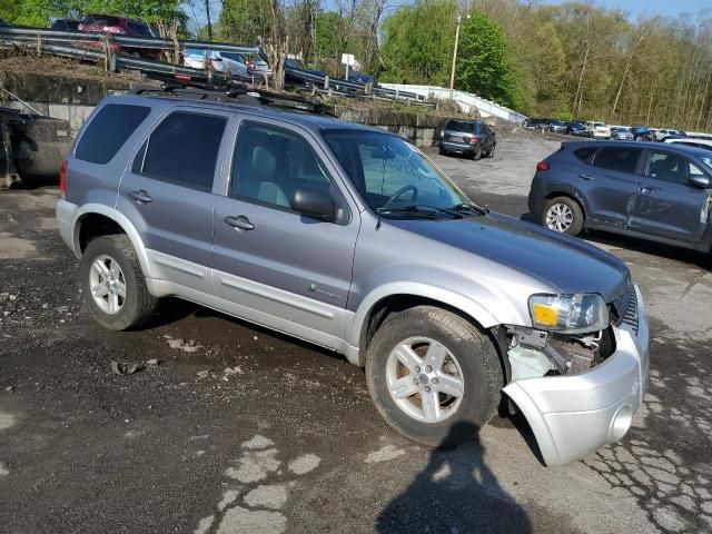 2007 Ford Escape HEV