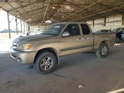 Vehiculos salvage en venta de Copart Phoenix, AZ: 2006 Toyota Tundra Access Cab SR5