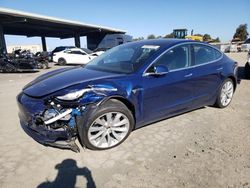 Salvage cars for sale at Hayward, CA auction: 2020 Tesla Model 3