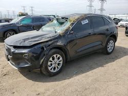 Salvage cars for sale at Elgin, IL auction: 2023 Ford Escape Active