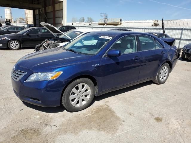 2009 Toyota Camry Hybrid