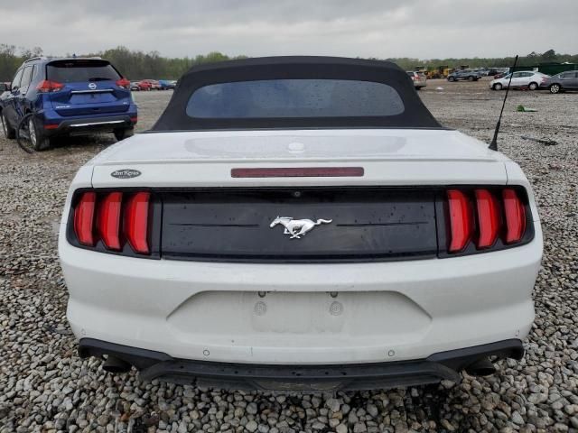 2019 Ford Mustang