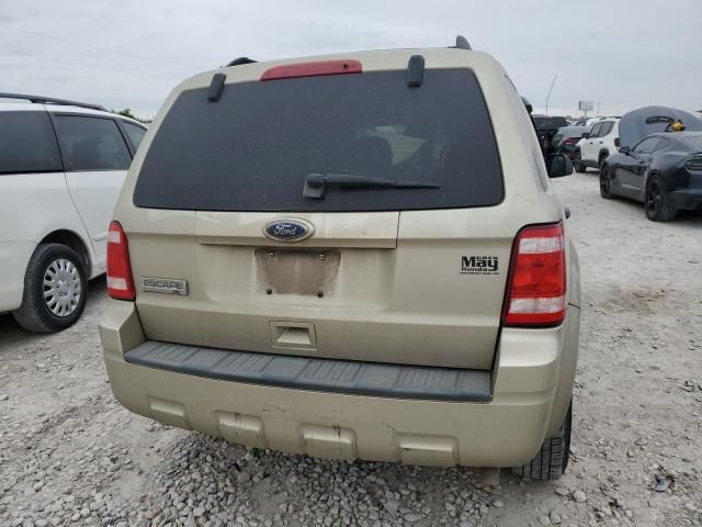 2010 Ford Escape XLT