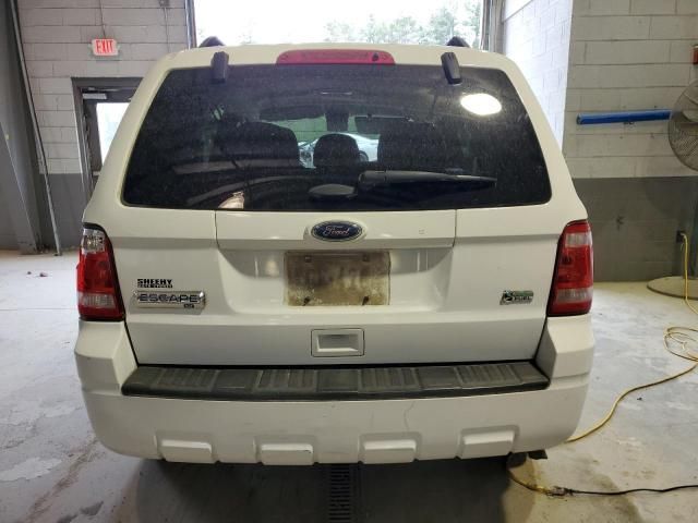 2012 Ford Escape XLT