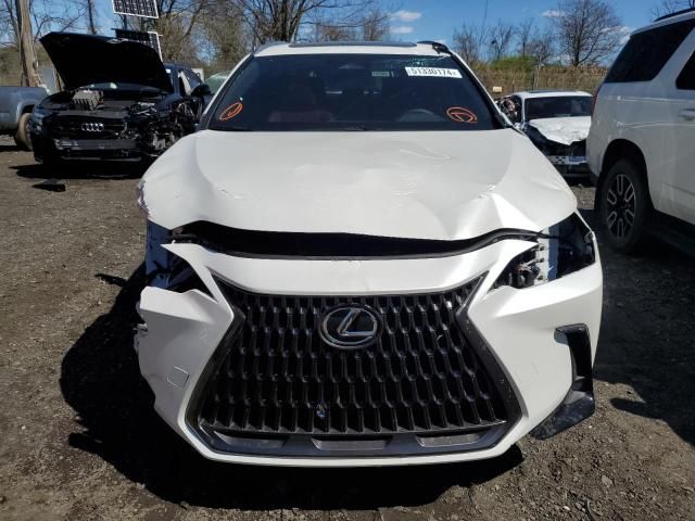 2024 Lexus NX 350 Base